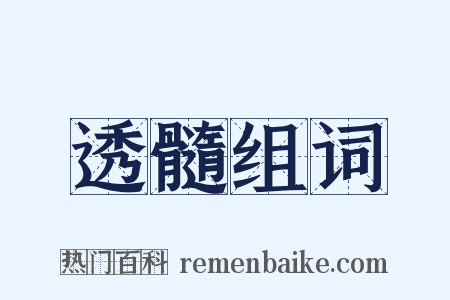 透髓组词是什么意思的图片